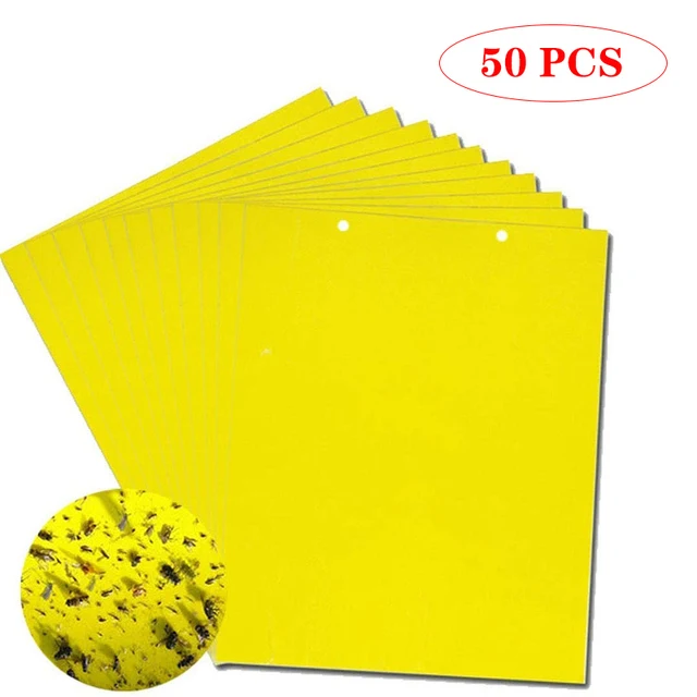 30-100pcs Strong Fruit Fly Traps Bugs yellow Sticky Board pest control insect killer Two-sided glue paper trap for kill pests
30-100pcs Strong Fruit Fly Traps Bugs yellow Sticky Board pest control insect killer Two-sided glue paper trap for kill pests