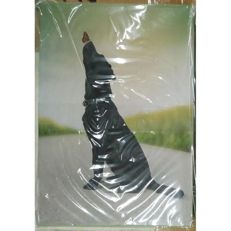 Postcard Stickers Aesthetic Pictures Wall Collage Kit Decorative Photo Collection DIY College Room Decor For Boys And Girls
Postcard Stickers Aesthetic Pictures Wall Collage Kit Decorative Photo Collection DIY College Room Decor For Boys And Girls