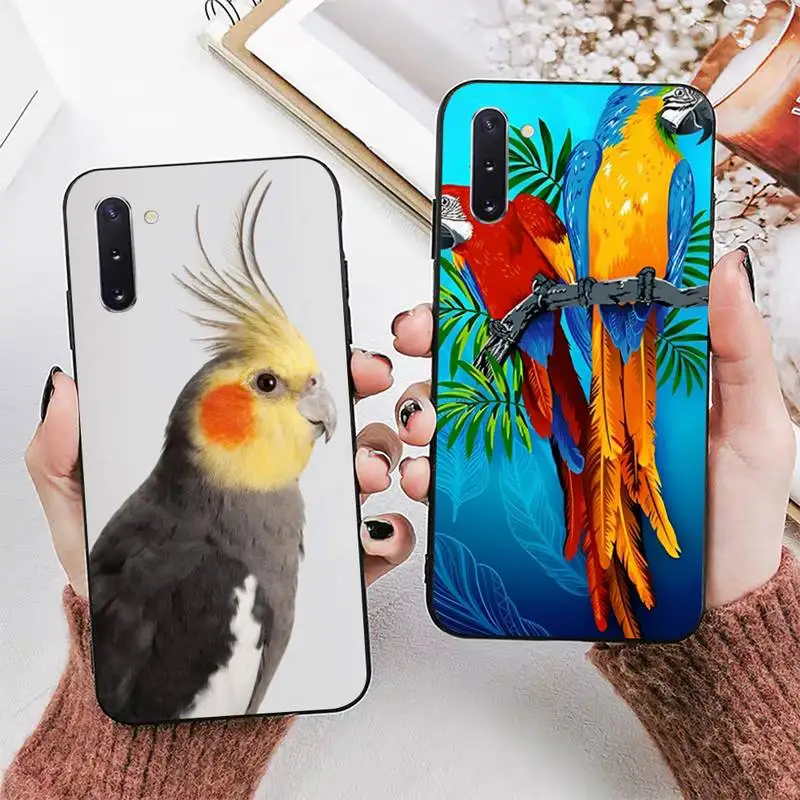 Parrot Bird Phone Case for Samsung Note 5 7 8 9 10 20 pro plus lite ultra A21 12 72
Parrot Bird Phone Case for Samsung Note 5 7 8 9 10 20 pro plus lite ultra A21 12 72
