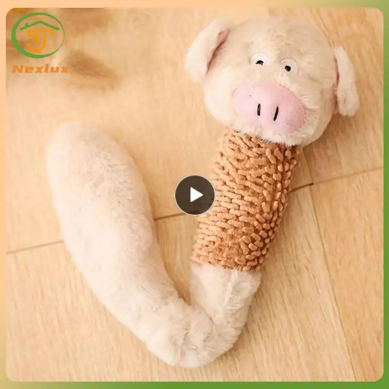 Durable Molar Teeth Cleaner Molar Teeth Plush Voice Doll Bite-resistant Plush Voice Puppet Dog Toys Plush Toy Prevent Tearing
Durable Molar Teeth Cleaner Molar Teeth Plush Voice Doll Bite-resistant Plush Voice Puppet Dog Toys Plush Toy Prevent Tearing