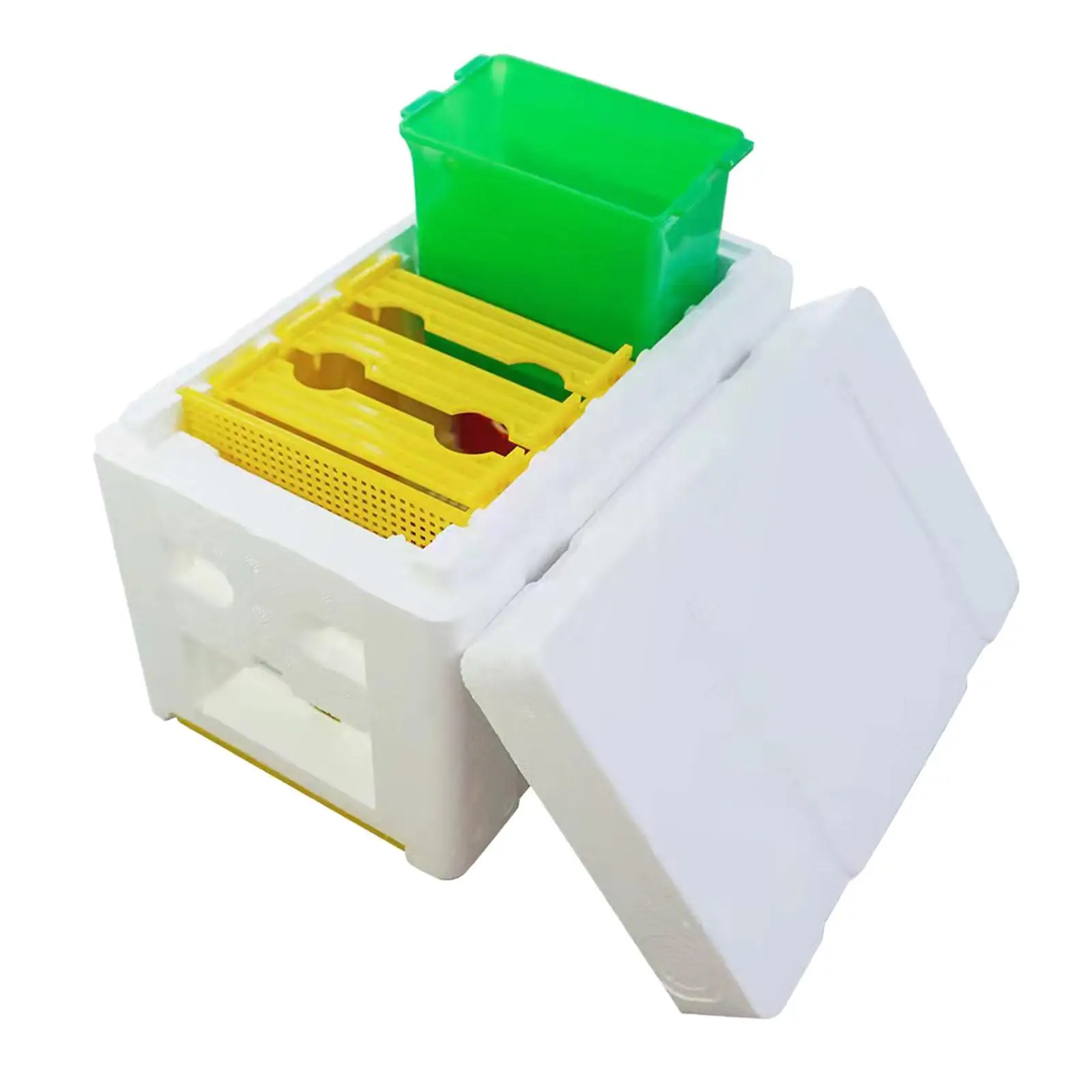 Beekeeping Queen Breeding, Queen Bee Rearing System, Hive Frames Beekeeping Case Bee Hive
Beekeeping Queen Breeding, Queen Bee Rearing System, Hive Frames Beekeeping Case Bee Hive