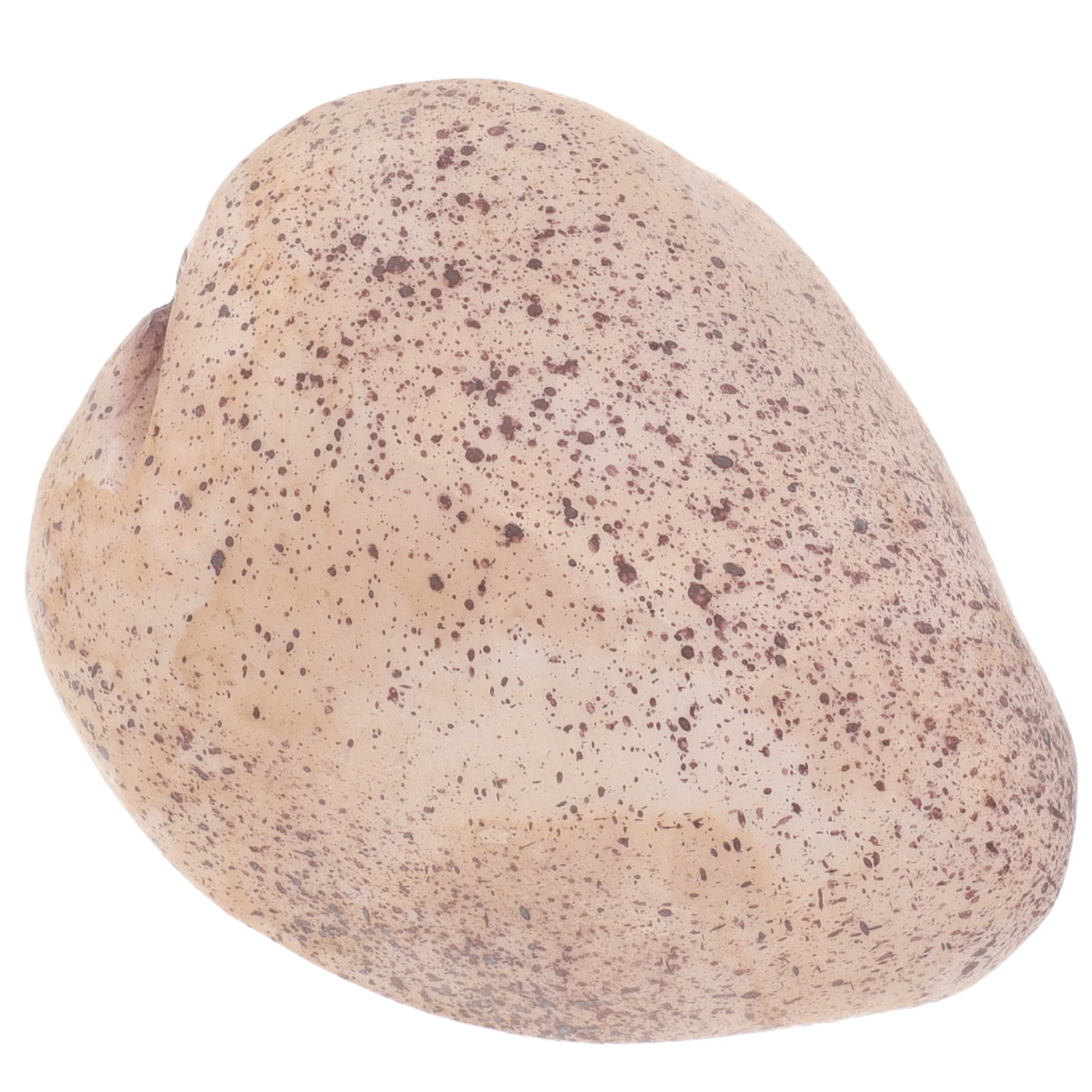 Preservation Box Key Stash Decor Garden Holder Resin Simulated Branch Hider
Preservation Box Key Stash Decor Garden Holder Resin Simulated Branch Hider