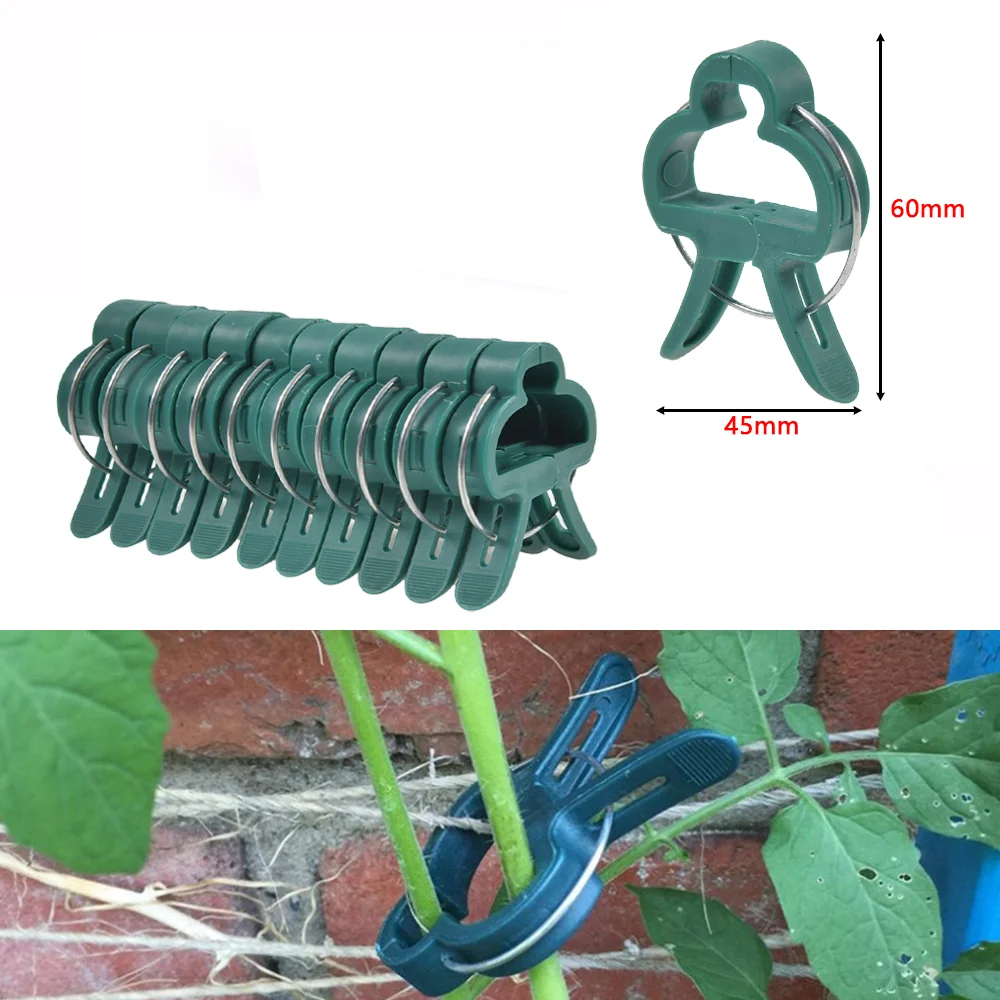 20Pcs Reusable Plant Clips Plastic Gardening Accessories for Supporting Stems of Flower Plant Clamp
20Pcs Reusable Plant Clips Plastic Gardening Accessories for Supporting Stems of Flower Plant Clamp