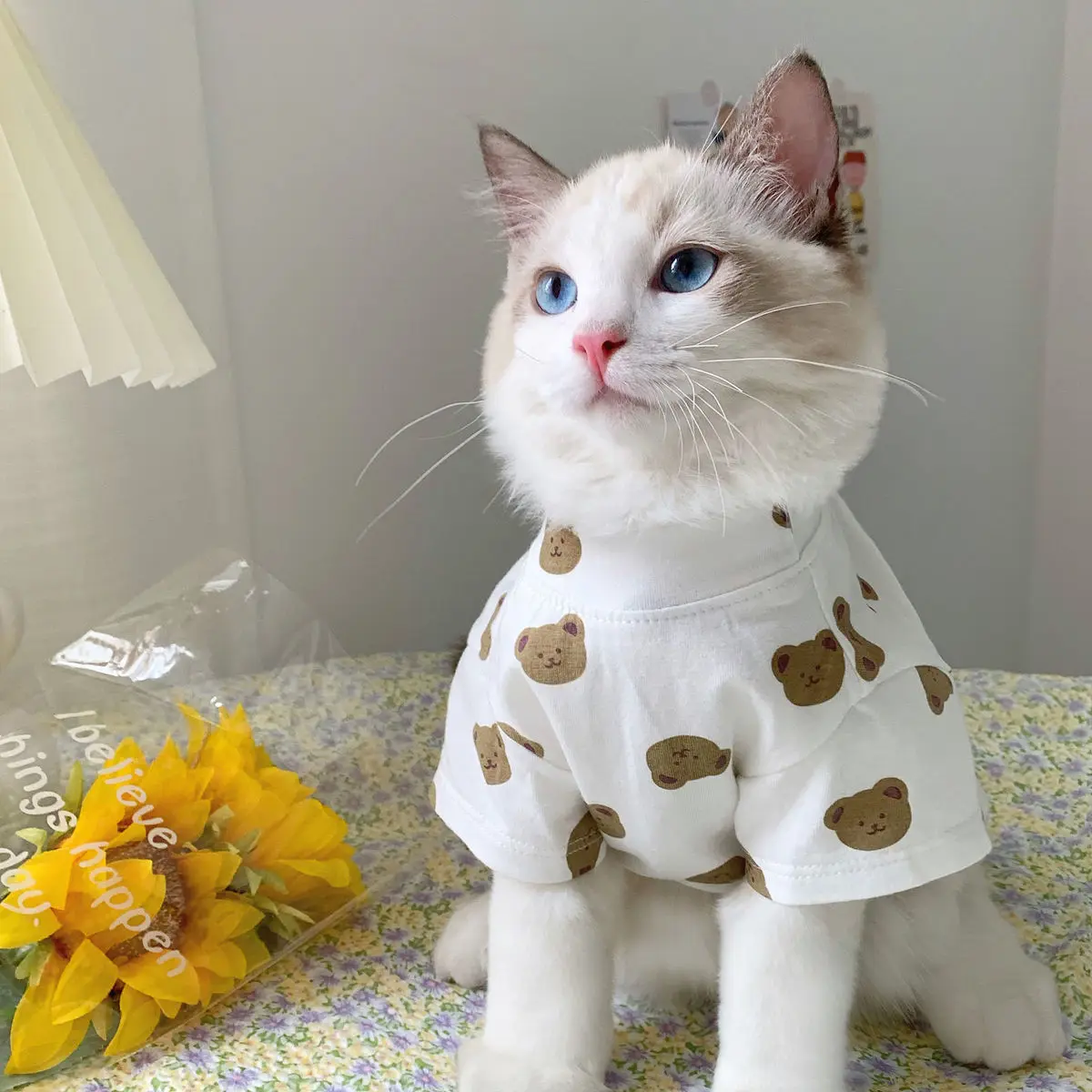 Korean Version Of The Cat Clothes Spring And Summer Thin Section Anti-fall Hair Muppet Small Milk Cat Cute Pet Cat Cat Clothes
Korean Version Of The Cat Clothes Spring And Summer Thin Section Anti-fall Hair Muppet Small Milk Cat Cute Pet Cat Cat Clothes