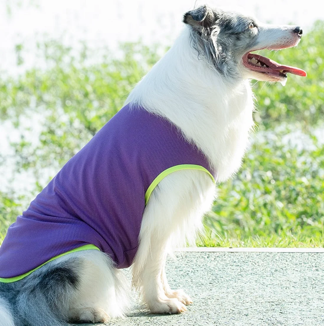 

Summer Dog Jumpsuit Big Large Dog Clothes Schnauzer Corgi Husky Labrador Golden Retriever Dobermann Bull Terrier Clothing Outfit