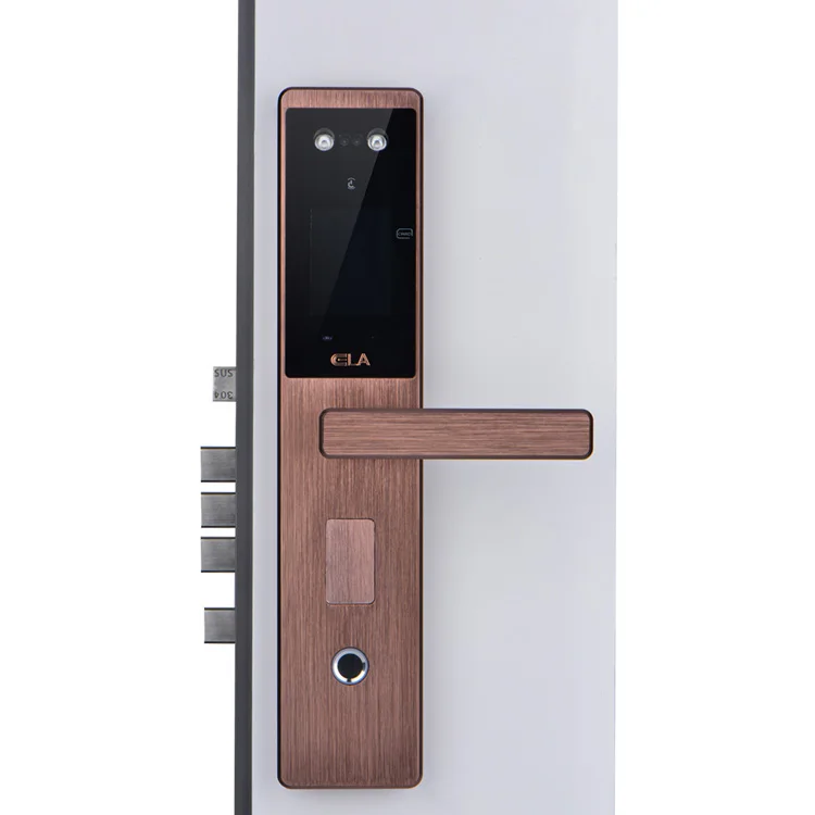 Security anti-theft home face recognition electronic intelligent fingerprint password door lock
Security anti-theft home face recognition electronic intelligent fingerprint password door lock