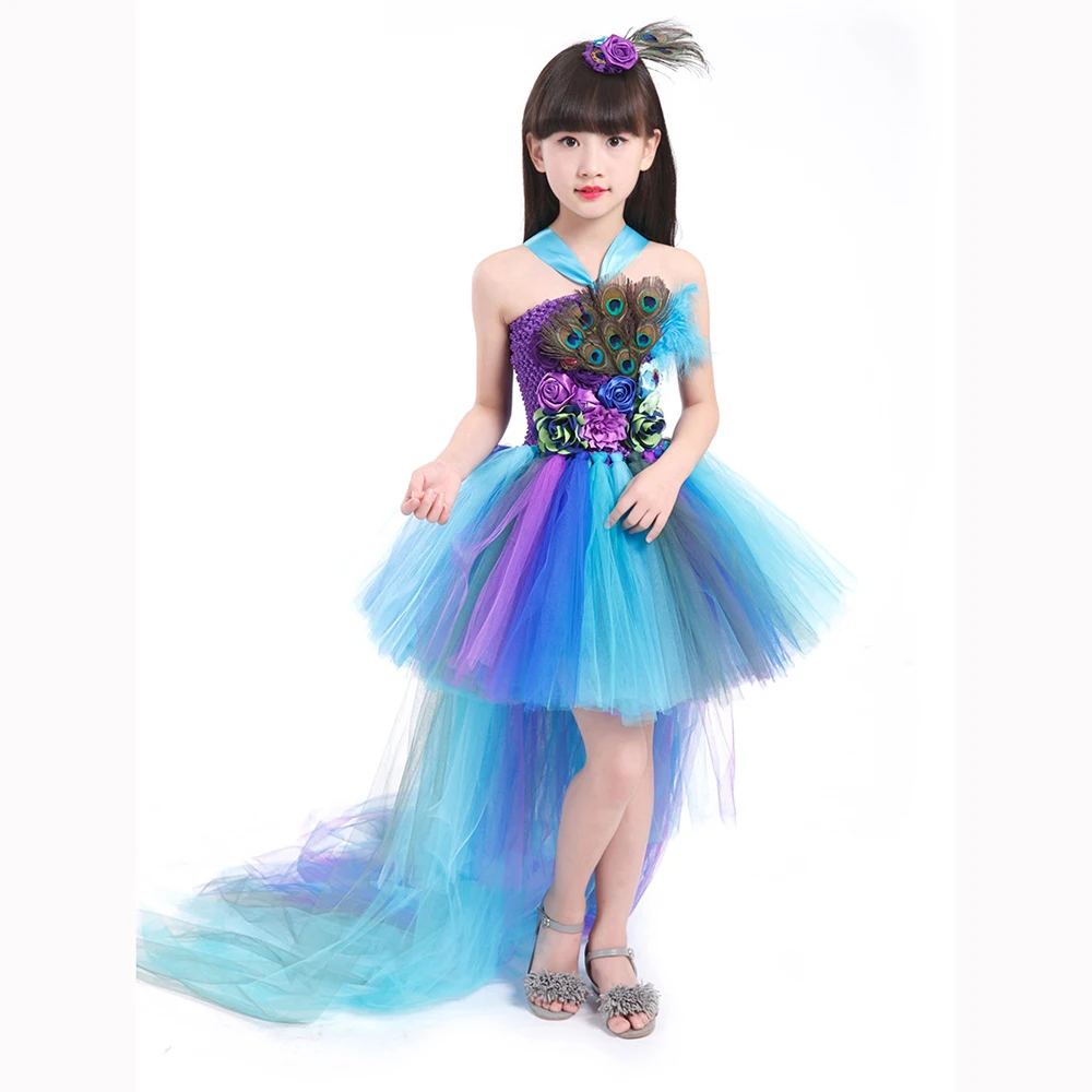 Peacock Costume Peacock Dress Girls Dress Girl Costume Kids Flower Tutu Tulle Birthday Party Princess Summer Children's Clothing
Peacock Costume Peacock Dress Girls Dress Girl Costume Kids Flower Tutu Tulle Birthday Party Princess Summer Children's Clothing