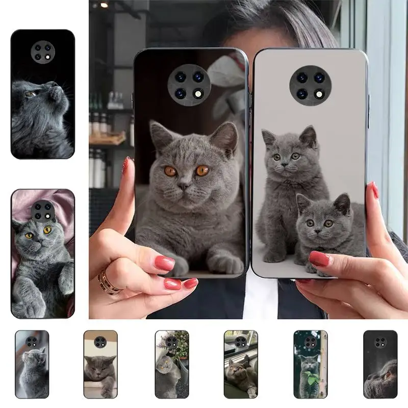 British Shorthair Cat Phone Case For Redmi 9 5 S2 K30pro Silicone Fundas for Redmi 8 7 7A note 5 5A
British Shorthair Cat Phone Case For Redmi 9 5 S2 K30pro Silicone Fundas for Redmi 8 7 7A note 5 5A