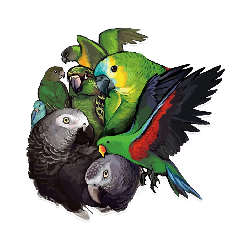 Car Sticker Parrot Family Modeling Personalized PVC Auto Motorcycle Sunscreen Waterproof Self-adhesive Creativity Decals
Car Sticker Parrot Family Modeling Personalized PVC Auto Motorcycle Sunscreen Waterproof Self-adhesive Creativity Decals