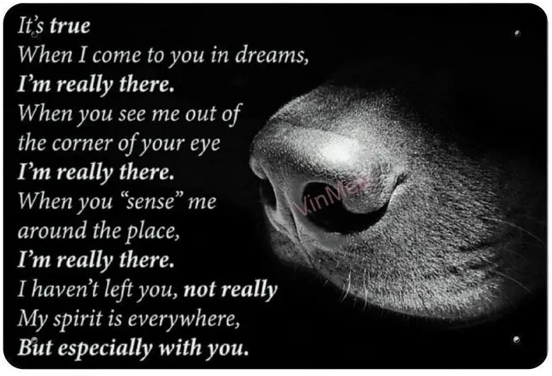 Когда вы чувствуете меня вокруг Ретро металлический фотопостер Настенный декор искусство потертый шик подарок
Когда вы чувствуете меня вокруг Ретро металлический фотопостер Настенный декор искусство потертый шик подарок