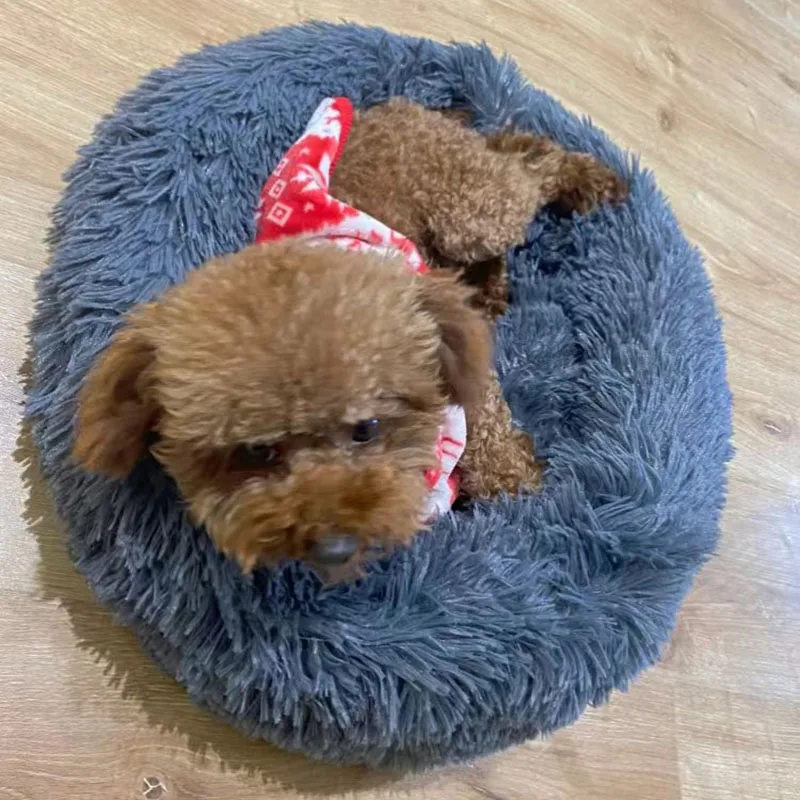 Pet Kennel Thickened Round Plush Basket Dog Bed Autumn Winter Cats Kennel Warm Cat Litter Large Medium Mattress Pet Accessories
Pet Kennel Thickened Round Plush Basket Dog Bed Autumn Winter Cats Kennel Warm Cat Litter Large Medium Mattress Pet Accessories