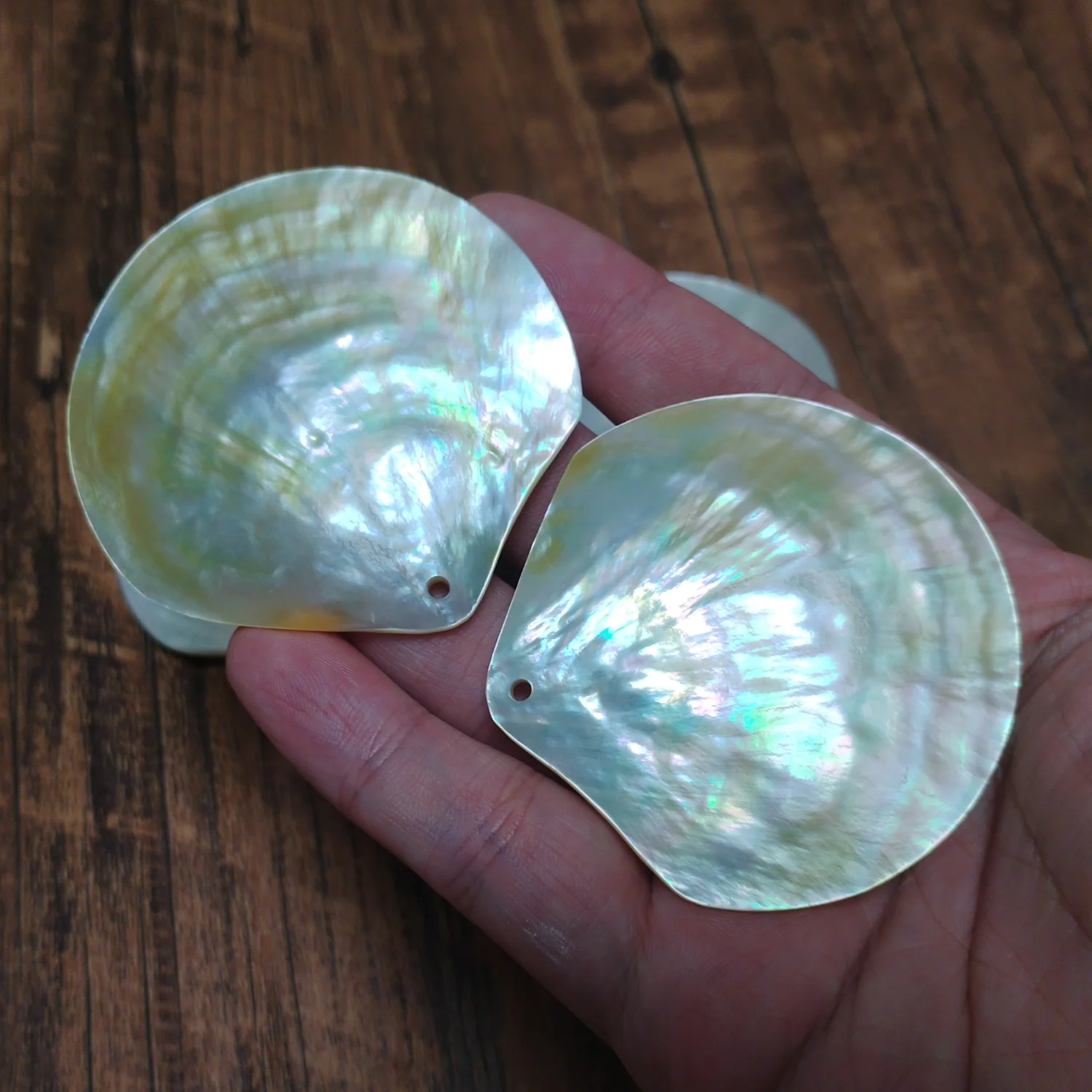 2 штуки, натуральные ракушки Pinctada Margarilifera ORIGIFTS
2 штуки, натуральные ракушки Pinctada Margarilifera ORIGIFTS