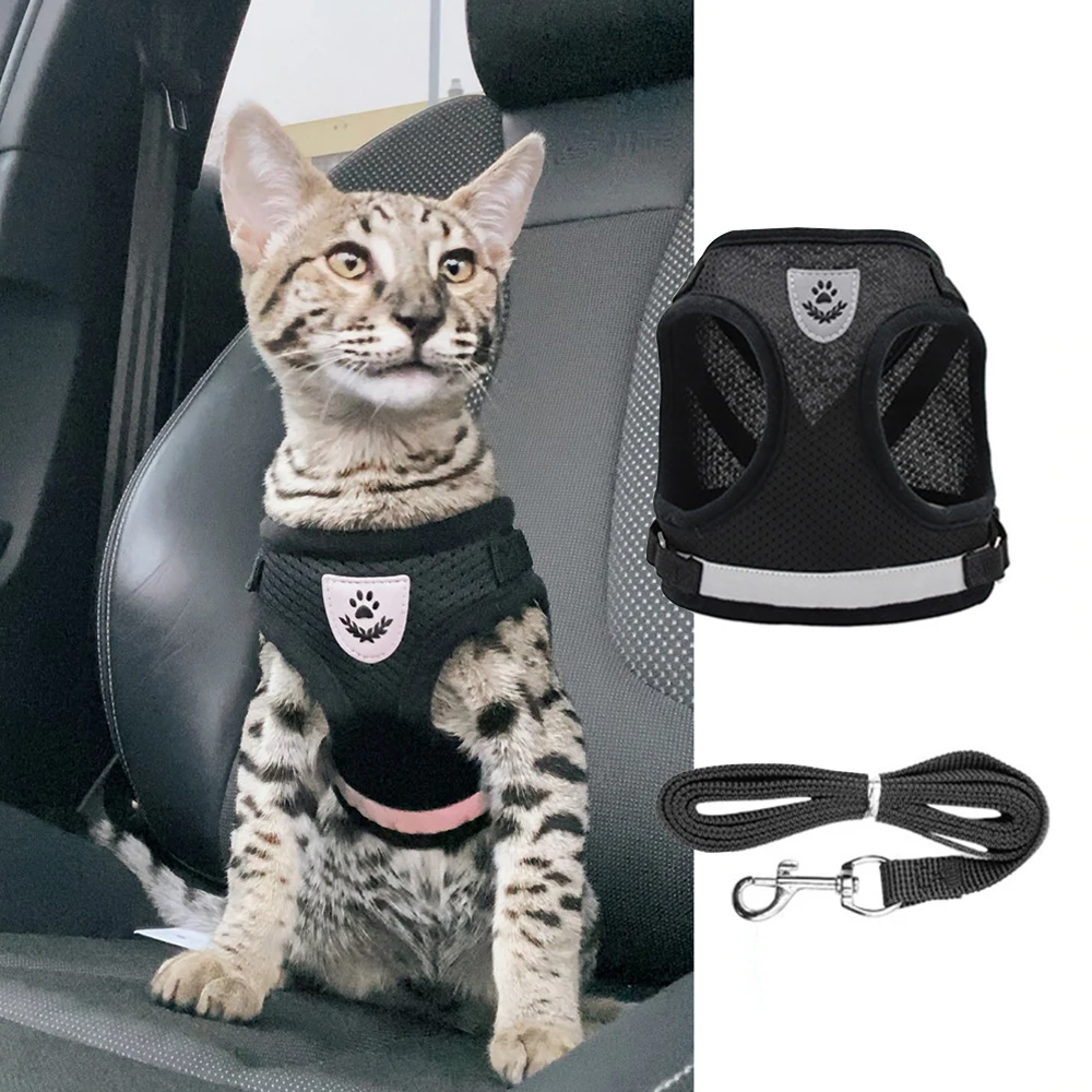 Дышащая Регулируемая Светоотражающая шлейка для кошек, Легко управляемый поводок для прогулок
Дышащая Регулируемая Светоотражающая шлейка для кошек, Легко управляемый поводок для прогулок