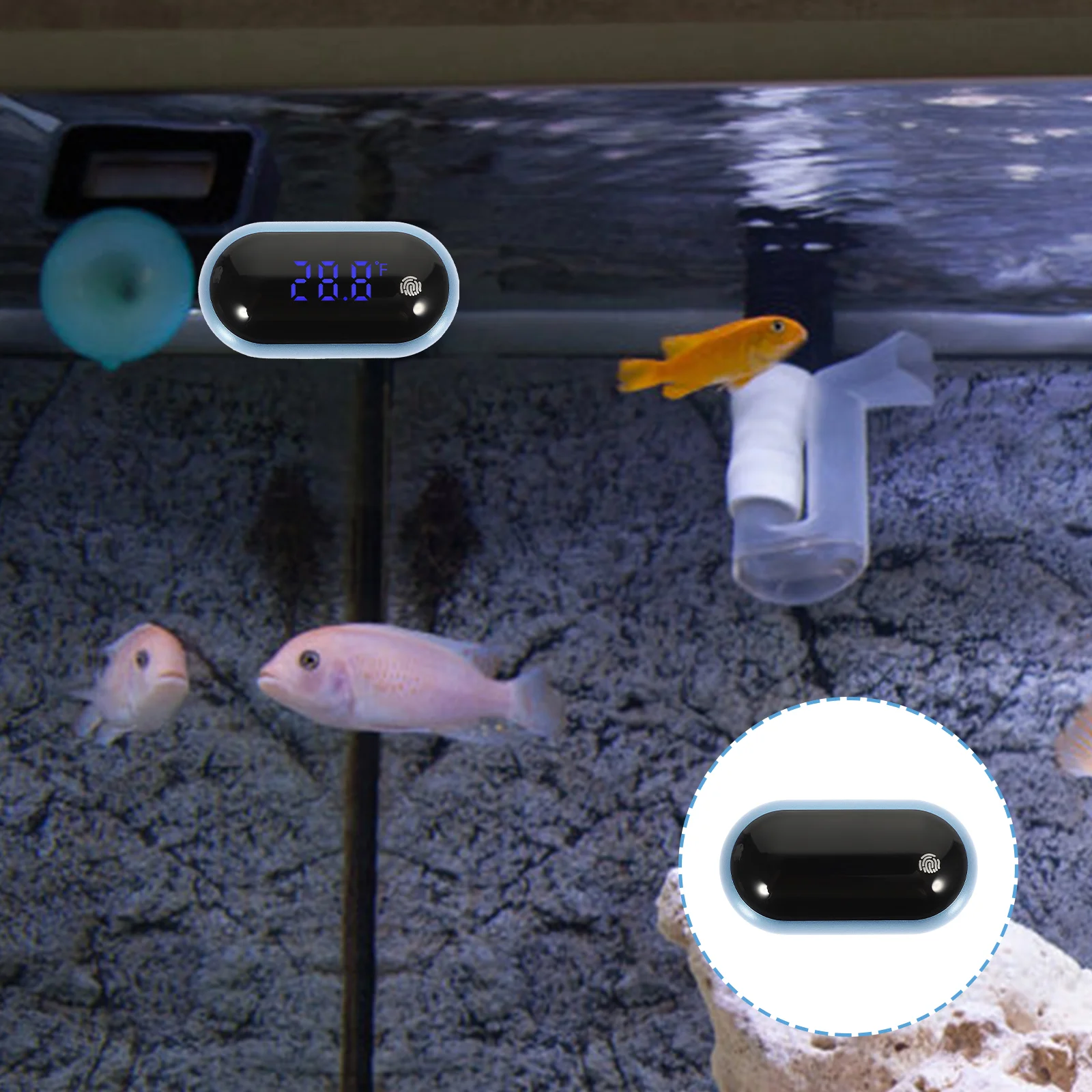 Temperaturetank Gauge Aquarium Waterdigital Led Sensor Swimming Pool Electronic Household Accessory Professional Tool
Temperaturetank Gauge Aquarium Waterdigital Led Sensor Swimming Pool Electronic Household Accessory Professional Tool