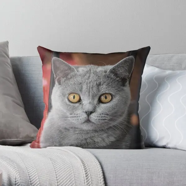 British Shorthair Cat Printing Throw Pillow Cover Decor Square Comfort Fashion Sofa Case Soft Office Bed Pillows not include
British Shorthair Cat Printing Throw Pillow Cover Decor Square Comfort Fashion Sofa Case Soft Office Bed Pillows not include