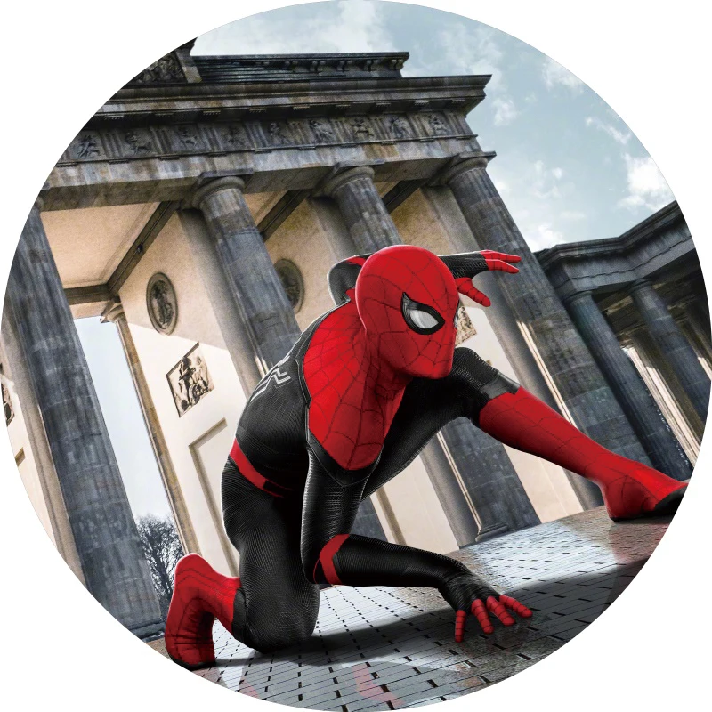 Hero Circle Background Spider Kids Boy Birthday Party Decoration Banner Round Photography Backdrop Photo Studio Photocall Custom
Hero Circle Background Spider Kids Boy Birthday Party Decoration Banner Round Photography Backdrop Photo Studio Photocall Custom