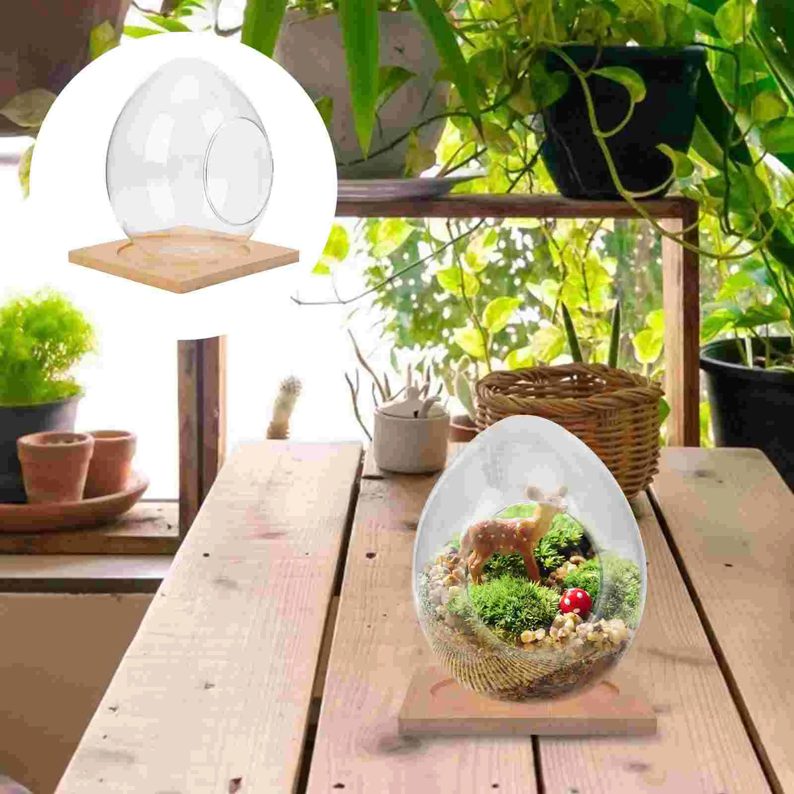 1 Set Decor Glass Planter Hydroponic Planter Plants Terrarium Glass Vase for Desktop Balcony Home Office
1 Set Decor Glass Planter Hydroponic Planter Plants Terrarium Glass Vase for Desktop Balcony Home Office