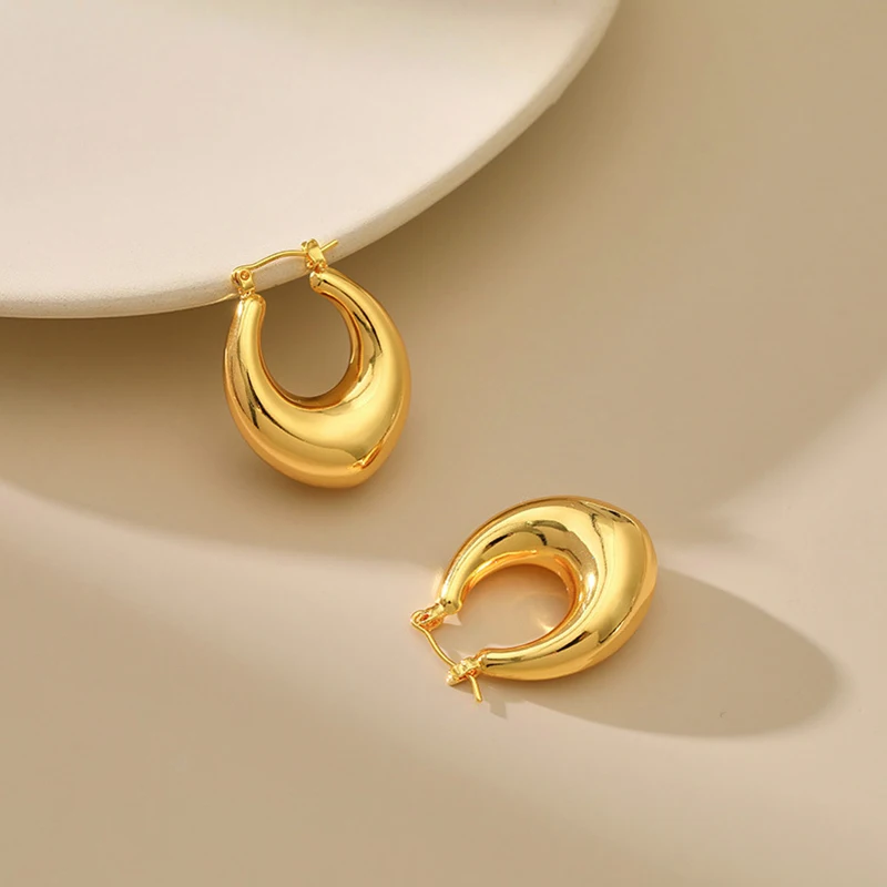 ALTERA New Classic Smooth Metal Round Hoop Earrings for Woman Fashion Jewelry Temperament Daily Wear Stainless Steel Earrings
ALTERA New Classic Smooth Metal Round Hoop Earrings for Woman Fashion Jewelry Temperament Daily Wear Stainless Steel Earrings