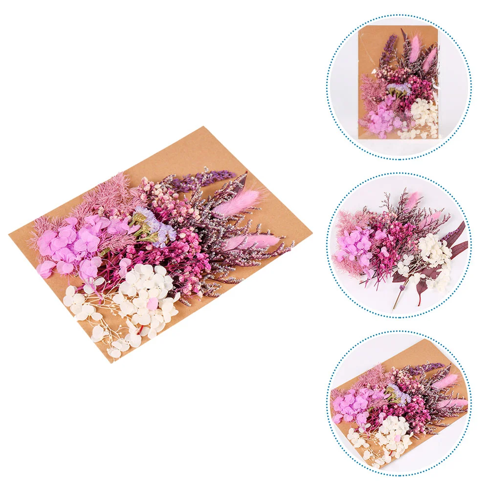 

Flowers Dried Flower Diy Pressed Dry Forfiller Bowl Making Leaves Decorations Resinpotpourri Decorative Craft Crafts Natural