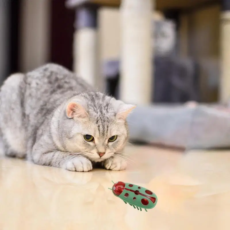 Cat Bugs Toy Interactive Smart Sensing Automatic Cat Toys For Indoor Cats Battery Operated Vibration Dog Worm Beetle Playing Toy
Cat Bugs Toy Interactive Smart Sensing Automatic Cat Toys For Indoor Cats Battery Operated Vibration Dog Worm Beetle Playing Toy