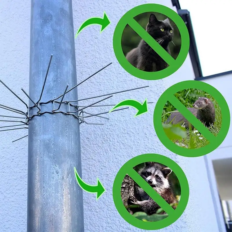 Spring Steel Pigeon Spikes And Bird Repeller Hurdle Anti Bird Pigeon Repellent Stainless Steel Anti Pigeon Spikes Bird Spikes
Spring Steel Pigeon Spikes And Bird Repeller Hurdle Anti Bird Pigeon Repellent Stainless Steel Anti Pigeon Spikes Bird Spikes