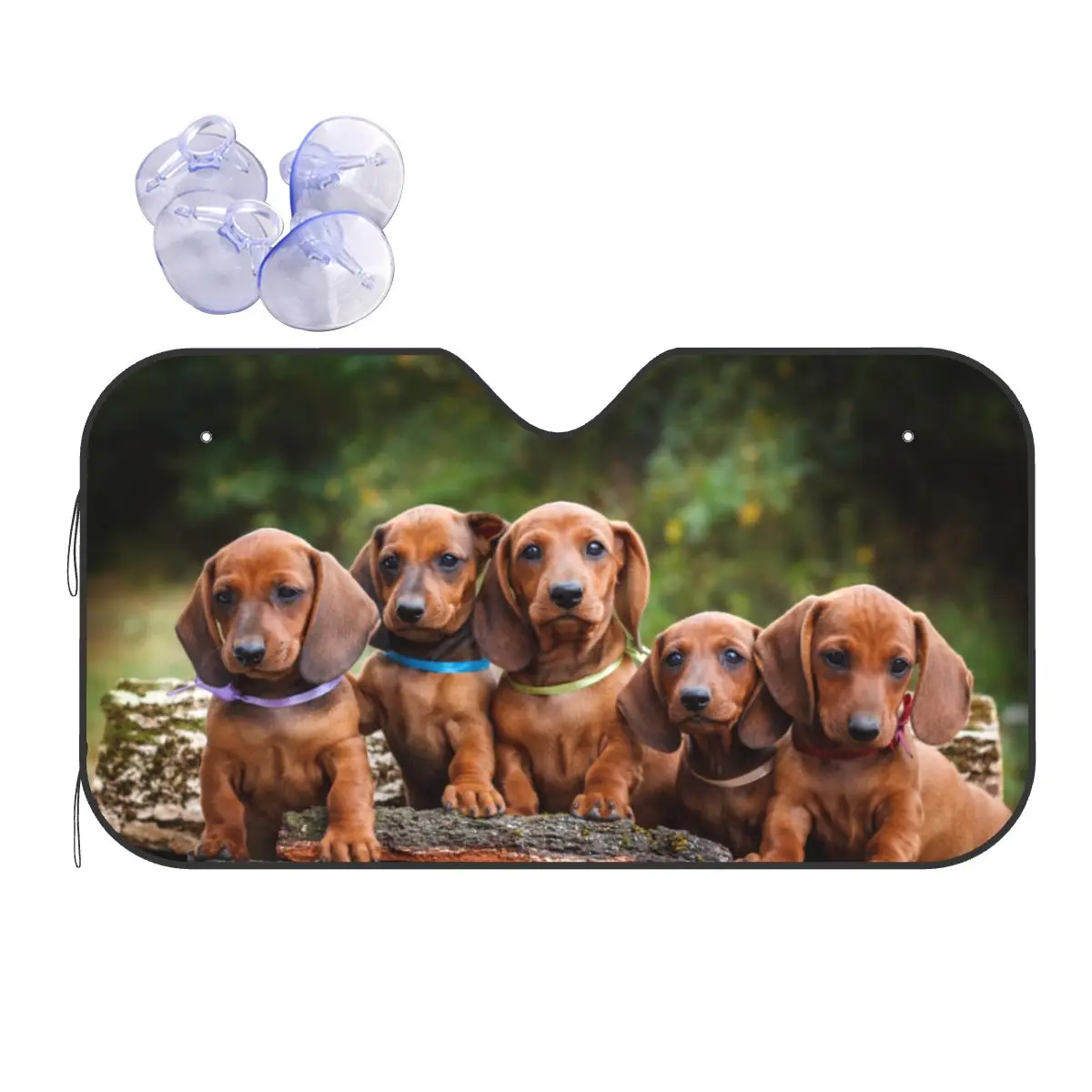 Cute Dachshunds Puppy Sunshade Windscreen Gift for Animal Dog Fold-up Car Front Window Visor 76x140cm Sun Visor UV Protector
Cute Dachshunds Puppy Sunshade Windscreen Gift for Animal Dog Fold-up Car Front Window Visor 76x140cm Sun Visor UV Protector