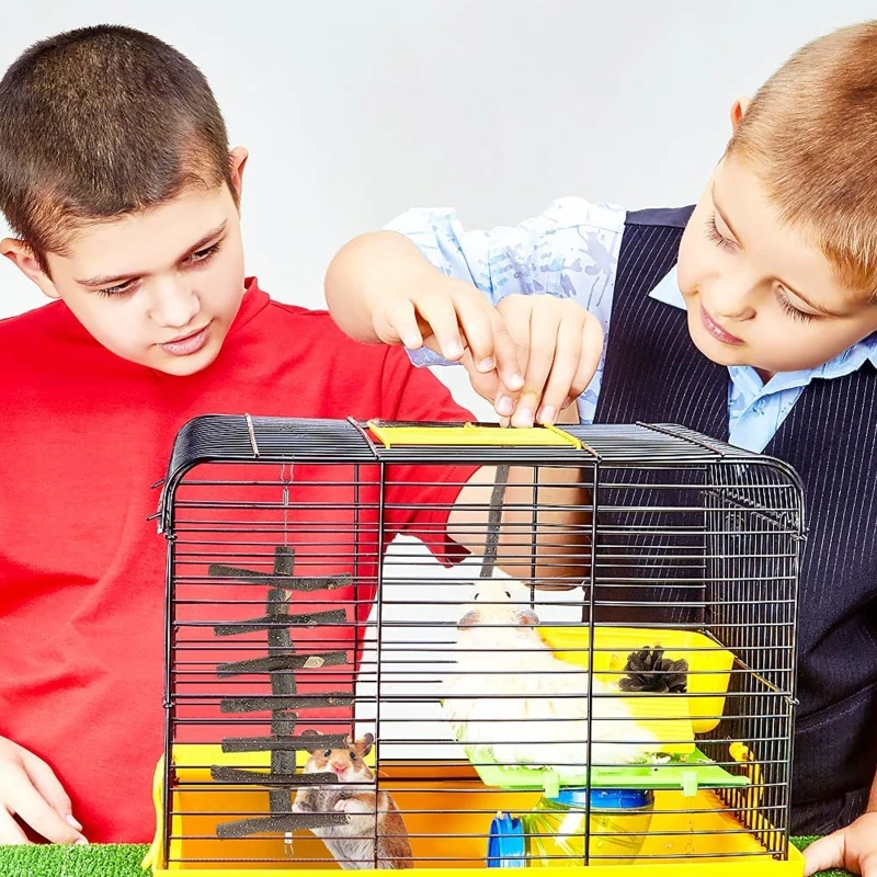 12-Piece Bunny Chew Toys Hamster Swing Ladder Tunnel Tube Twigs Wood Blocks String for Rabbit Chinchilla Chipmunk 40JA
12-Piece Bunny Chew Toys Hamster Swing Ladder Tunnel Tube Twigs Wood Blocks String for Rabbit Chinchilla Chipmunk 40JA