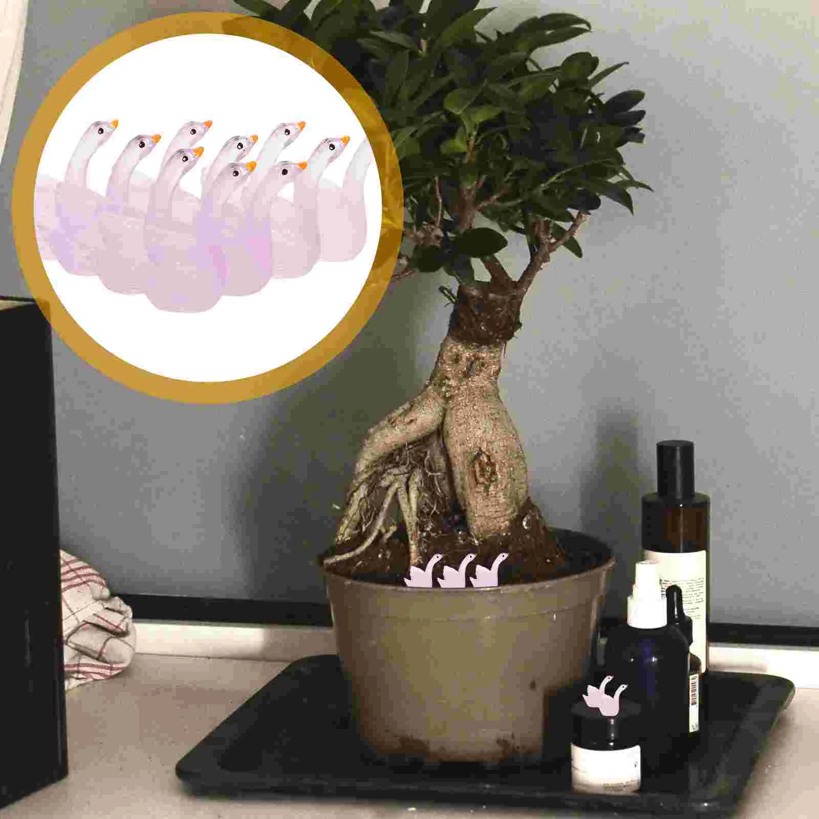 10pcs Glow In The Dark Figurine Miniature Resin Swan Statue Microlandscape Swan Decoration
10pcs Glow In The Dark Figurine Miniature Resin Swan Statue Microlandscape Swan Decoration