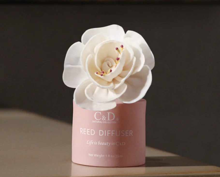 Home Fragrance Oil Dried Flower Rattan Reed Diffuser Set Bedroom Air Freshener Perfume Aroma Essential Household Decoration
Home Fragrance Oil Dried Flower Rattan Reed Diffuser Set Bedroom Air Freshener Perfume Aroma Essential Household Decoration