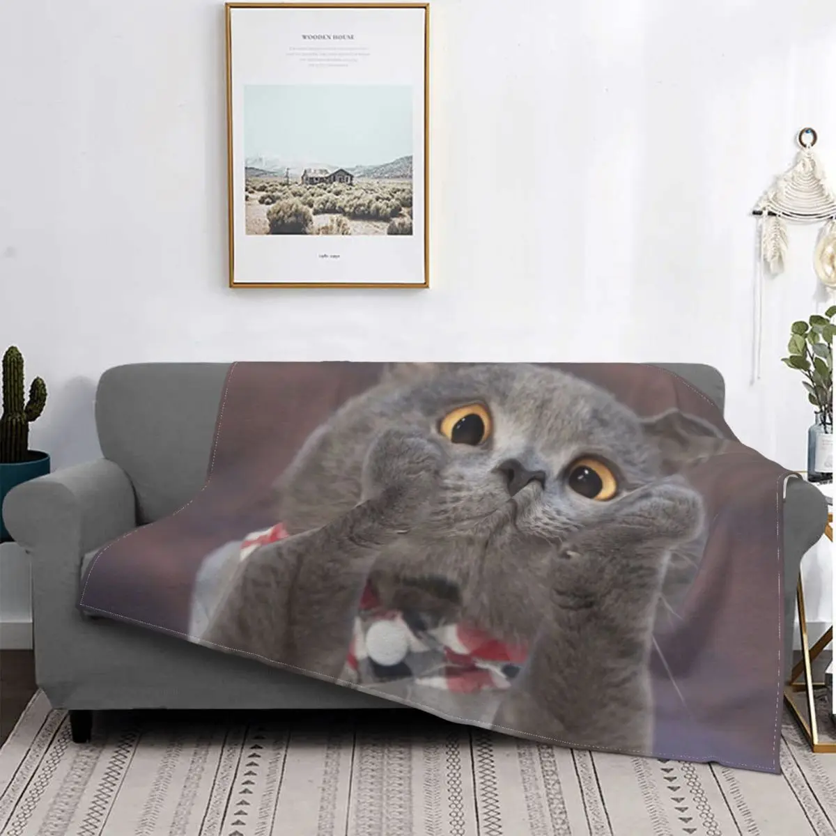 Cat Skin-Friendly Lightweight Anti-Pilling Home Decor Blanket Portable Comfort Lightweight Anti-Pilling Cute Living Kids Room
Cat Skin-Friendly Lightweight Anti-Pilling Home Decor Blanket Portable Comfort Lightweight Anti-Pilling Cute Living Kids Room