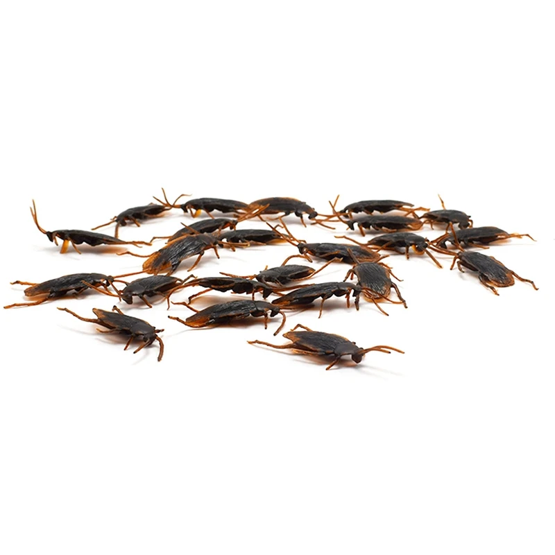 500PCS Halloween Simulation Cockroach Xiaoqiang Tricky Funny Disgusting Scary Toy Prank Props
500PCS Halloween Simulation Cockroach Xiaoqiang Tricky Funny Disgusting Scary Toy Prank Props