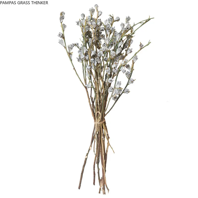 10 stems Dried real flowers 10pcs home decoration dried natural real eucalyptus globulus fruit flowers bunch
10 stems Dried real flowers 10pcs home decoration dried natural real eucalyptus globulus fruit flowers bunch