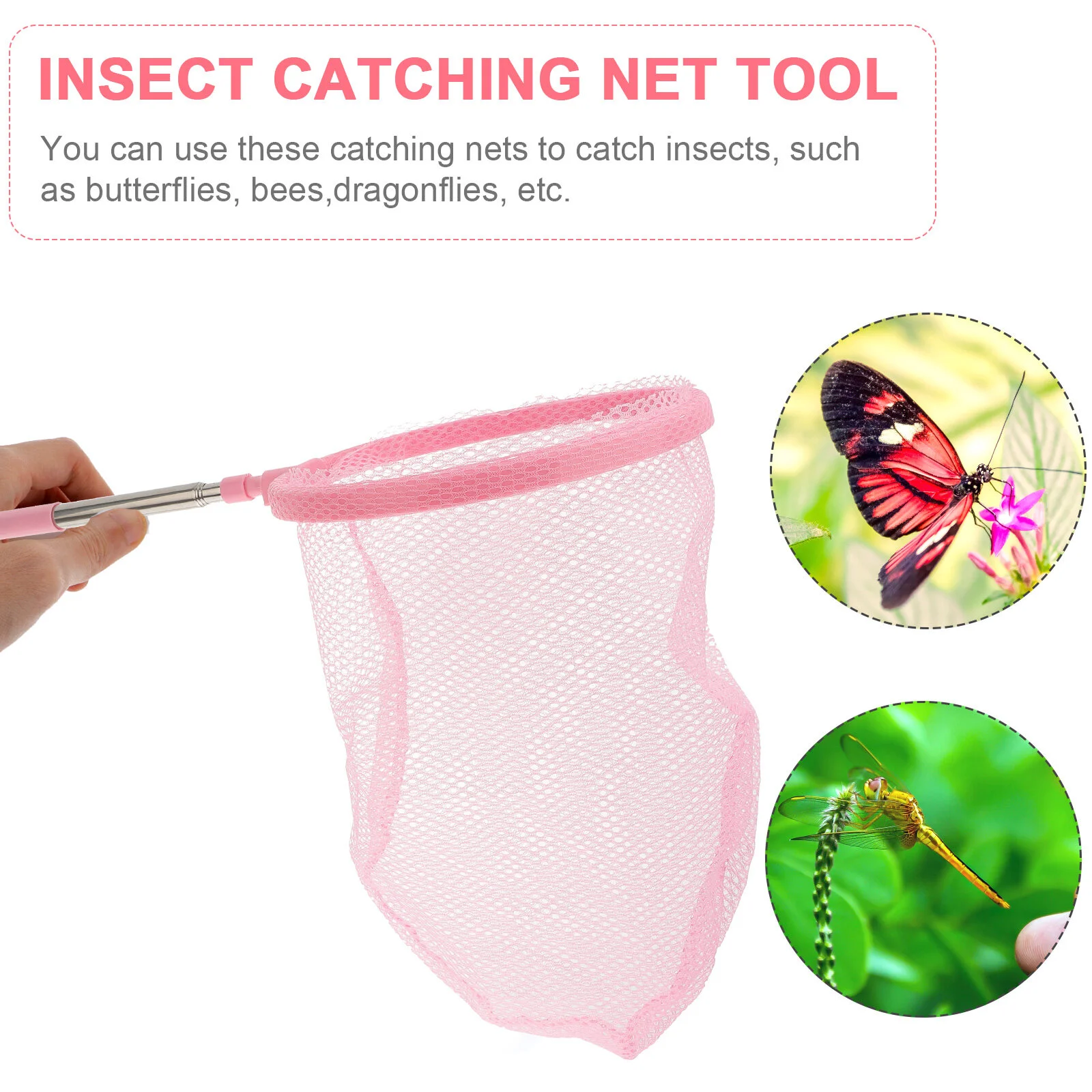 Spoon Outdoor Insect Observation Cage Exploration Bug Catcher Kids Kit Kid Tools Case
Spoon Outdoor Insect Observation Cage Exploration Bug Catcher Kids Kit Kid Tools Case