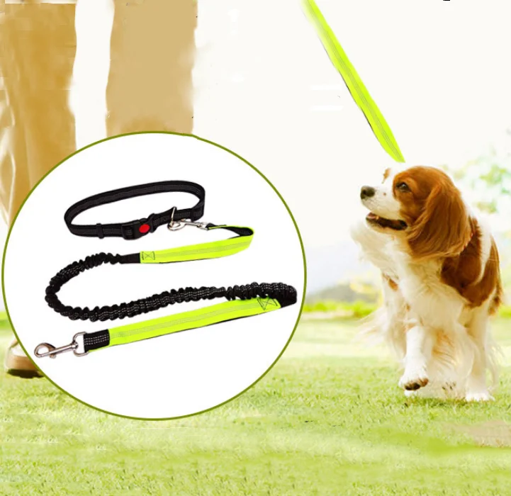 Регулируемый поводок для собак, для прогулок, бега, бега, пробежек, поясной ремень, нагрудный ремень, 2022
Регулируемый поводок для собак, для прогулок, бега, бега, пробежек, поясной ремень, нагрудный ремень, 2022