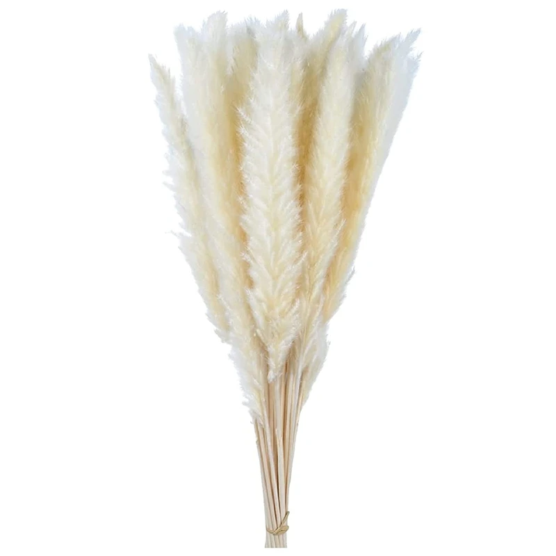 

Сушеная пампасная трава 21,65 дюйма, 30 шт., натуральный домашний декор и идеально подходит для цветочных композиций, белый сушеный цветок, Деко...