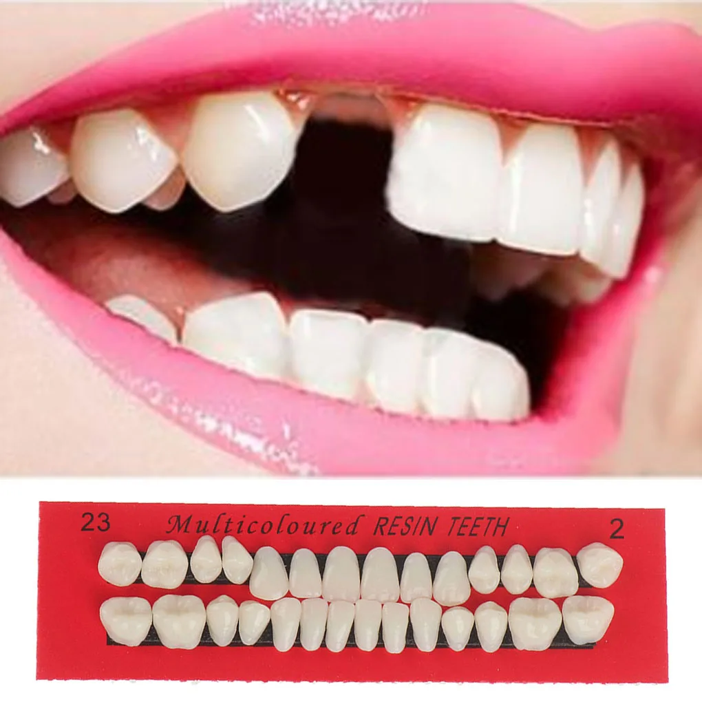 28Pcs Set Resin Teeth Model Durable Waterproof Dentures Lightweight False Teeth Fake Tooth Model Smooth Surface
28Pcs Set Resin Teeth Model Durable Waterproof Dentures Lightweight False Teeth Fake Tooth Model Smooth Surface