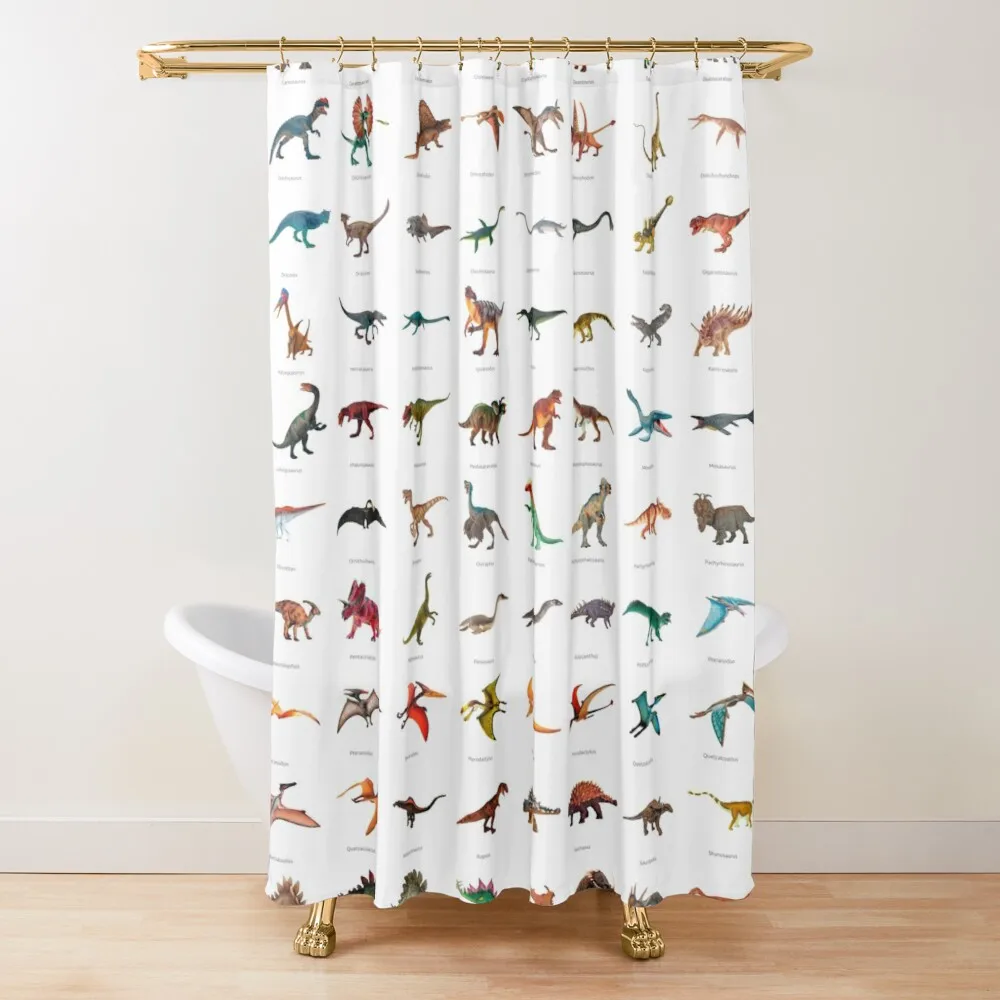 

Dinosaur Poster (With Names) Opaque Anti-Mold Waterproof Partition Curtain Room Original Shower Curtains