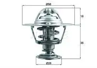 For TX19988D thermostat 88C FORESTER 2.0 FORESTER FORESTER 4WD LEGACY II II 4WD LEGACY III
For TX19988D thermostat 88C FORESTER 2.0 FORESTER FORESTER 4WD LEGACY II II 4WD LEGACY III