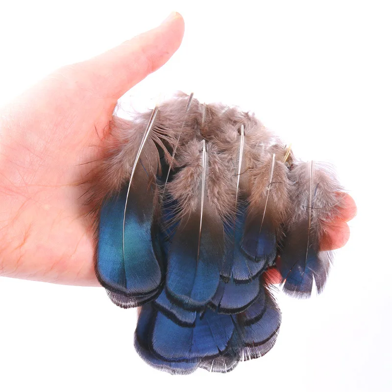 Wholesale Natural Peacock Pheasant Feathers Chicken Geese Feather DIY Dress Handicraft Wedding Party Accessories Decoration
Wholesale Natural Peacock Pheasant Feathers Chicken Geese Feather DIY Dress Handicraft Wedding Party Accessories Decoration