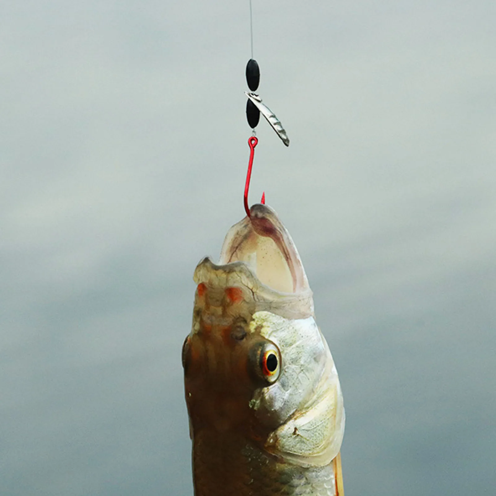 Рыболовные крючки 5 шт./лот, крючок с красным рукавом и блестками, искусственная приманка, углеродная леска для ловли карпа, Рыболовный аксес...
Рыболовные крючки 5 шт./лот, крючок с красным рукавом и блестками, искусственная приманка, углеродная леска для ловли карпа, Рыболовный аксес...