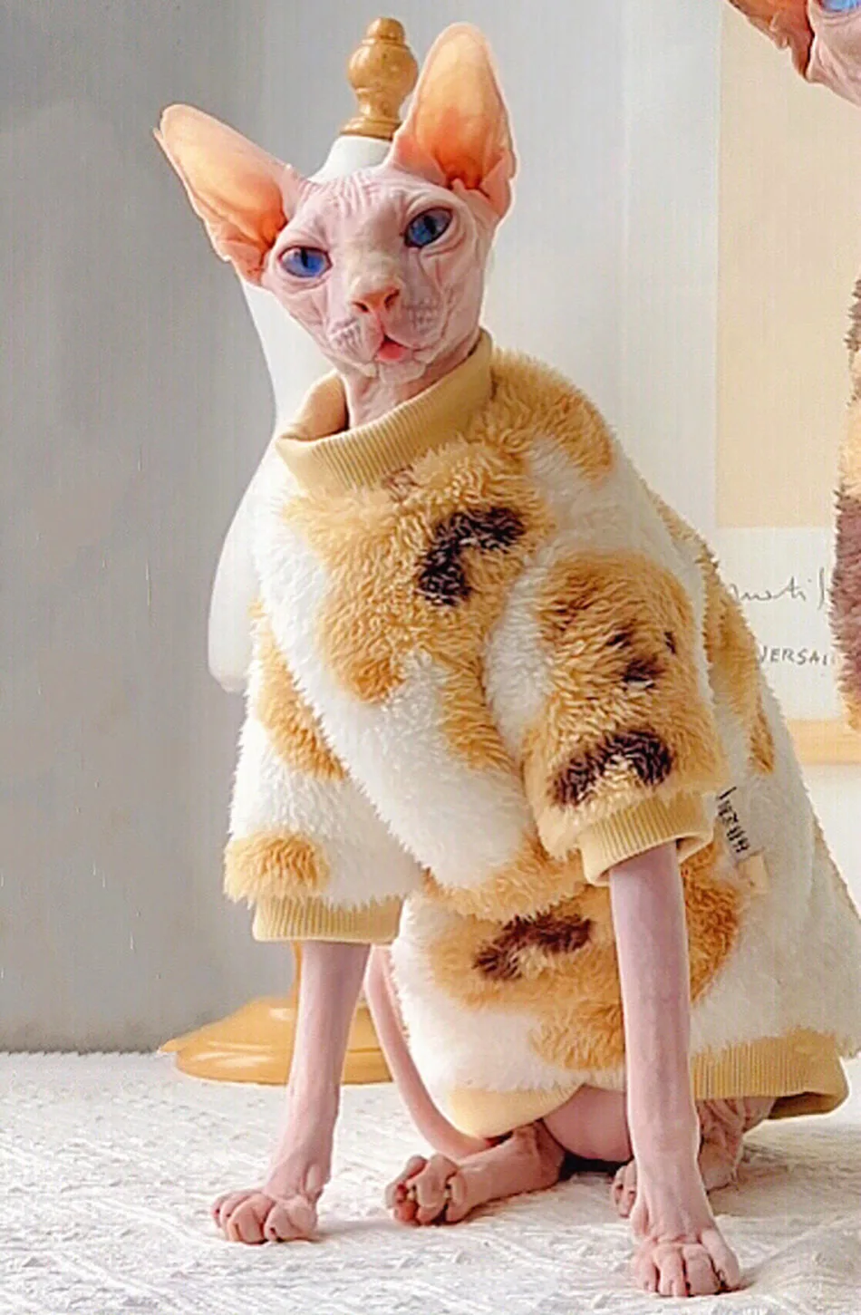 Winter Warm Sphinx Cat Clothes Soft Velvet Coat Clothes For Sphints Kitten Cat Double-sided Thicken Sphynx Cat Clothing Outfit
Winter Warm Sphinx Cat Clothes Soft Velvet Coat Clothes For Sphints Kitten Cat Double-sided Thicken Sphynx Cat Clothing Outfit