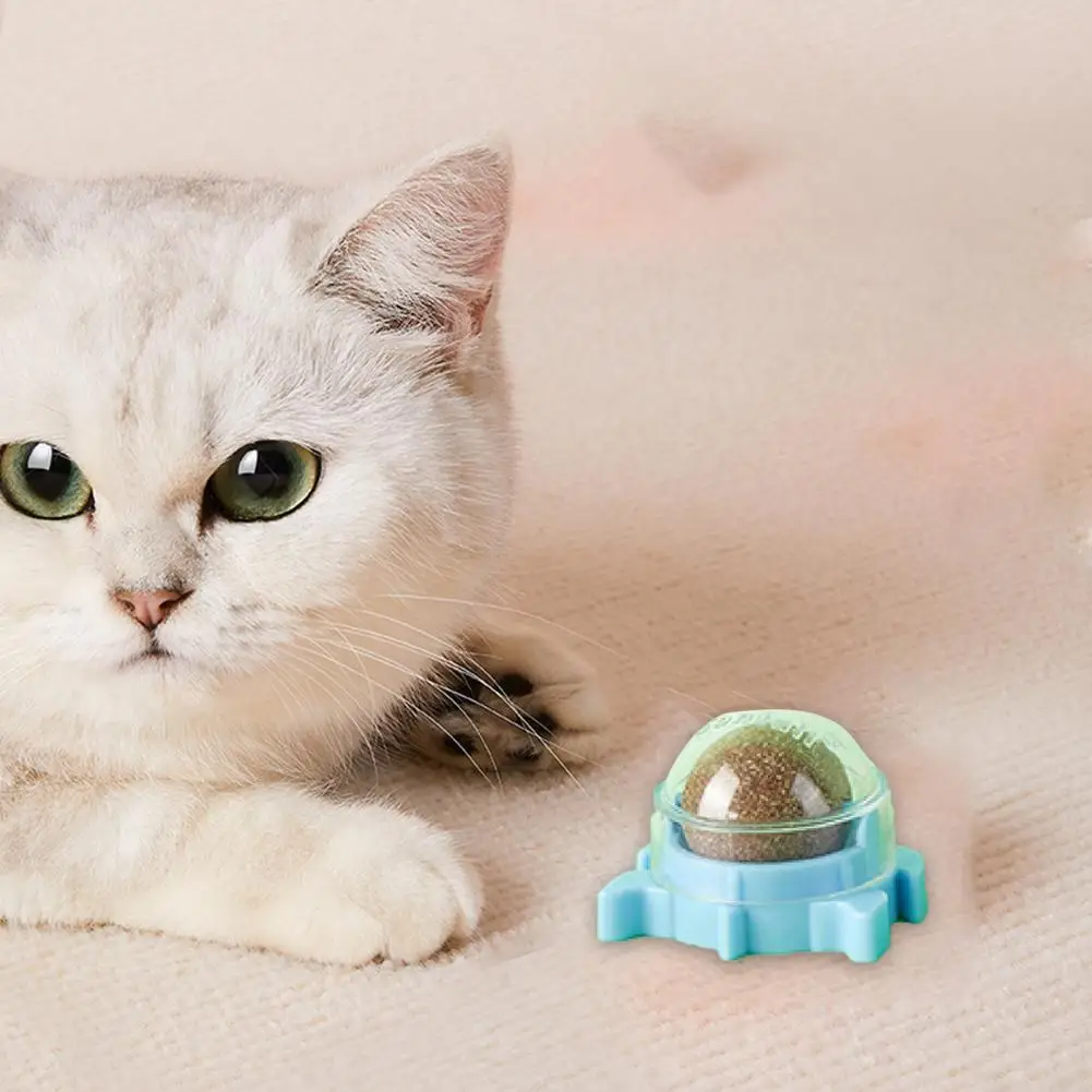 Novelty Lovely Turtle Shape Kitten Catnips Ball Cat Catnips Chewing Toy Healthy Stress Relief
Novelty Lovely Turtle Shape Kitten Catnips Ball Cat Catnips Chewing Toy Healthy Stress Relief