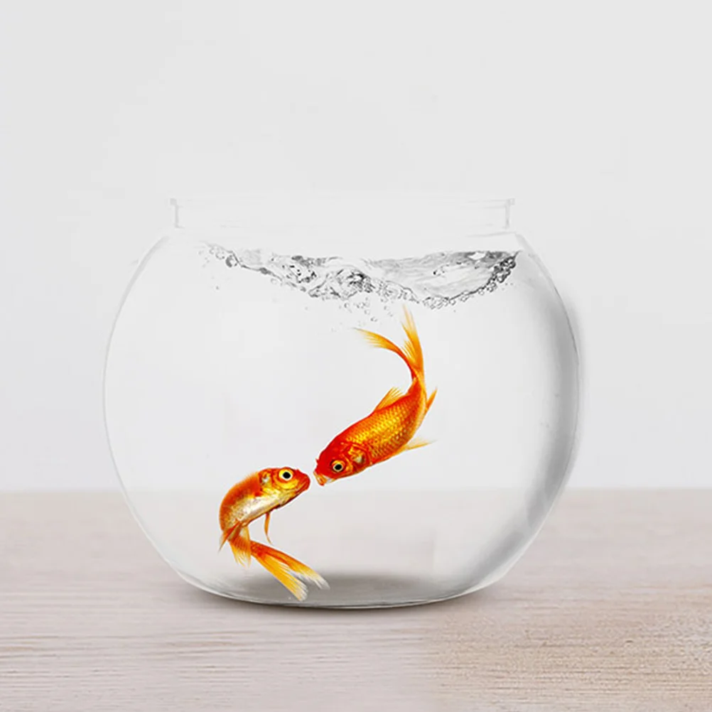 

Ornamental Fish Tank Anti-falling Small Bowl Goldfish Clear Keeper Lightweight Portable Plastic Holder Round Tanks Fishbowl