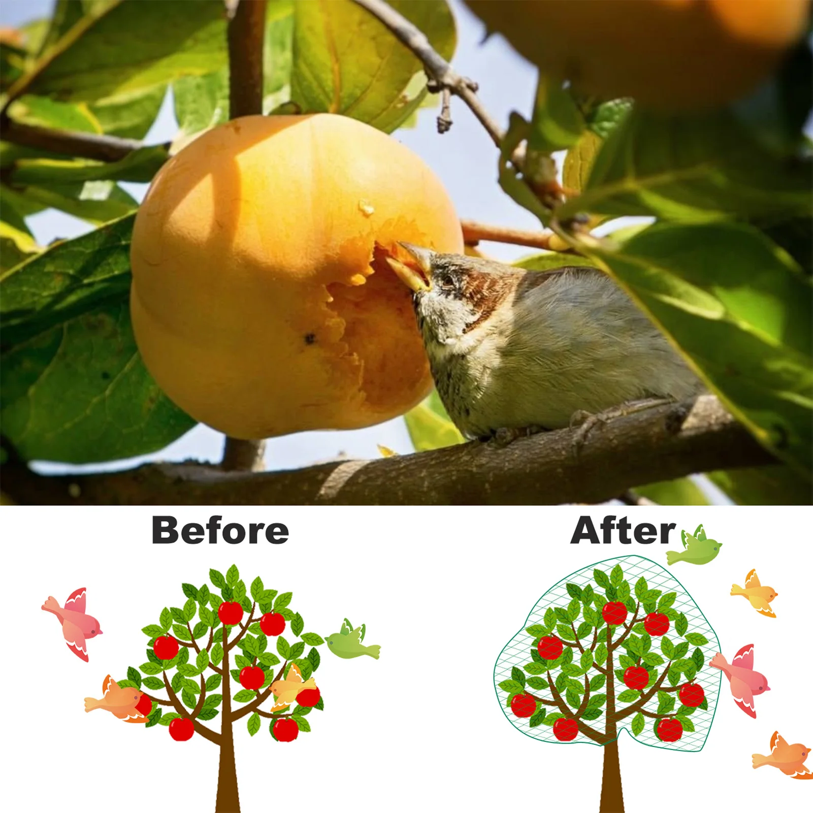 Bird Netting Garden Fence Plant Covers Garden Barrier Netting Patio Greenhouse Plant Netting Mesh For Fruit Trees Vegetables
Bird Netting Garden Fence Plant Covers Garden Barrier Netting Patio Greenhouse Plant Netting Mesh For Fruit Trees Vegetables