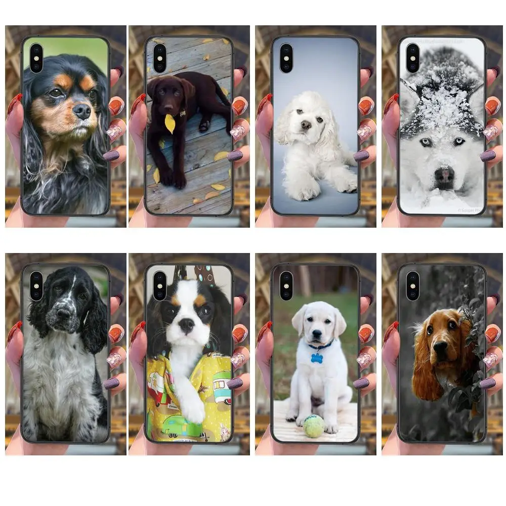 

Most Popular Dog Puppy Puppies For Huawei Y5 Y5p Y6 Y6P Y6s Y7 Y7a Y7P Y9 Lite Prime Pro 2018 2019 Accessories Pouches Covers