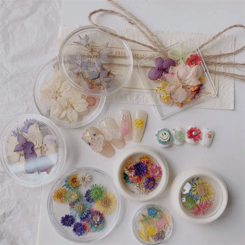 3D высушенные для ногтей искусство для рукоделия красочные пять искусственных натуральных сухих цветов аксессуары для дизайна ногтей
3D высушенные для ногтей искусство для рукоделия красочные пять искусственных натуральных сухих цветов аксессуары для дизайна ногтей