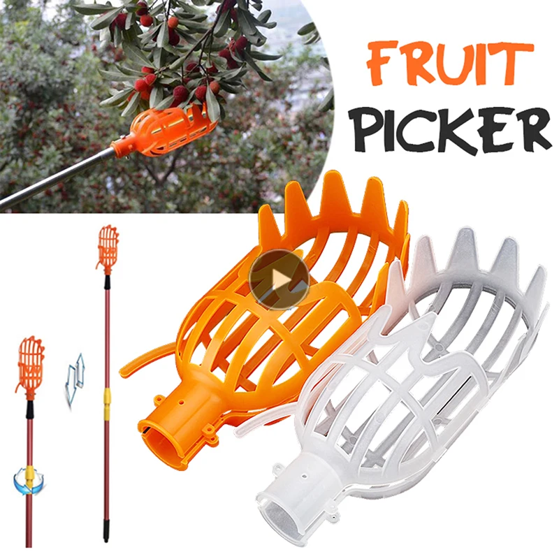 Garden tools Deep Basket Fruit Picker Head Convenient Fruit Picker Catcher Apple Peach Picking Farm Garden Picking Device 
Garden tools Deep Basket Fruit Picker Head Convenient Fruit Picker Catcher Apple Peach Picking Farm Garden Picking Device