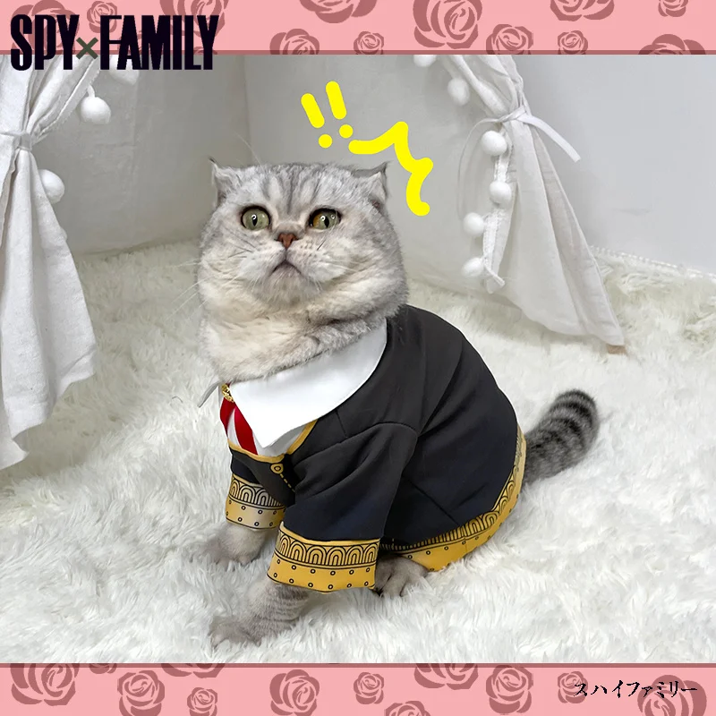 Anime Spy X Family Anya Forger Little Cat Clothes Cloak Hoodie Coat Cosplay Dog Pet Costumes Halloween Props
Anime Spy X Family Anya Forger Little Cat Clothes Cloak Hoodie Coat Cosplay Dog Pet Costumes Halloween Props