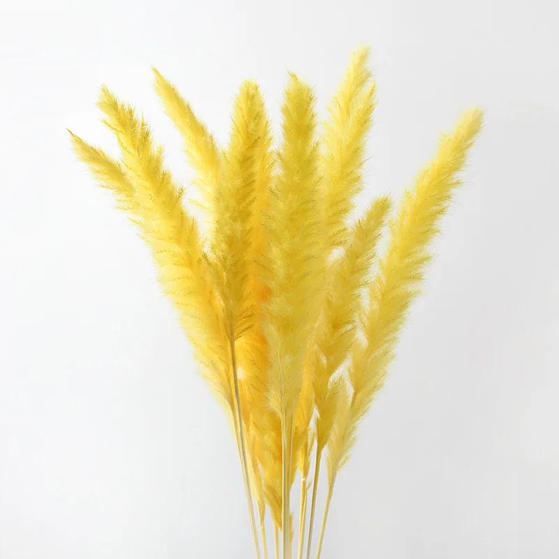 Dry flower Small Reed Rabbit tail grass Pampas grass Ditch reed Home office decoration flower Phragmites communis DIY material
Dry flower Small Reed Rabbit tail grass Pampas grass Ditch reed Home office decoration flower Phragmites communis DIY material