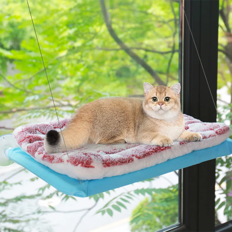 Cat Hammock Beds With Mat Cat Bed Hanging Window Shelf Seat For Cats Comfortable Pet Nest Pet Accessories Bed for Cats Supplies
Cat Hammock Beds With Mat Cat Bed Hanging Window Shelf Seat For Cats Comfortable Pet Nest Pet Accessories Bed for Cats Supplies